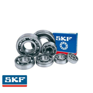 SKF RULMAN